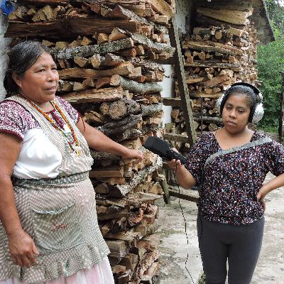 Programa 167. El Recalentado: mujeres que cuidan el cuerpo-territorio