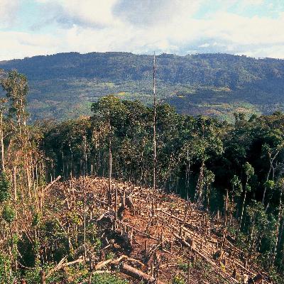 UNEP-Report: Finanzierungslücke bei Klima-Anpassungsmaßnahmen UNEP-Report: Finanzierungslücke bei Klima-Anpassungsmaßnahmen