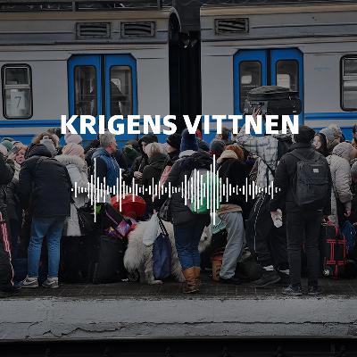 Krigens vittnen