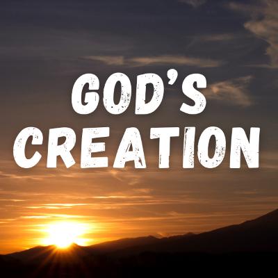 God's Creation