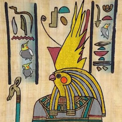 Why Cockatiels?
