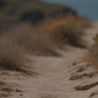 November 30 | Following Jesus| Follow Me Part II | Barry Rodriguez November 30 | Following Jesus| Follow Me Part II | Barry Rodriguez