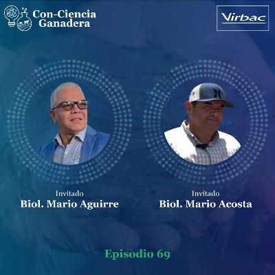 69. Estrategias para el crecimiento y desarrollo de camarones con Mario Aguirre