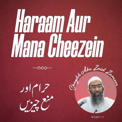 Haraam aur Mana Cheezein - Dars 5 of 5 Haraam aur Mana Cheezein - Dars 5 of 5
