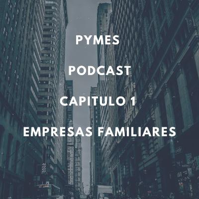 Capitulo 1. Empresas familiares