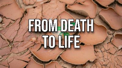 From Death to Life