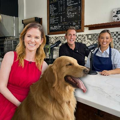 Did Sarah Drew's Dog Know She Was Pregnant Before She Did?!