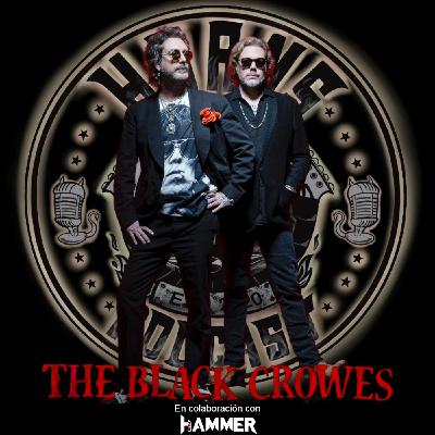 Horns Up 504 - Rock Blues & Beers 60 con Moy A.M.