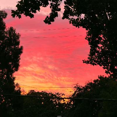 #43 怎么感觉时间过得既快又慢？