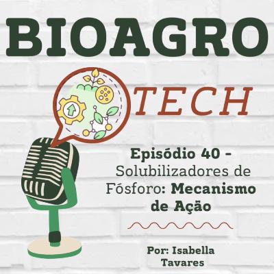 Episódio 40 - Solubilizadores de Fósforo: Mecanismo de Ação Episódio 40 - Solubilizadores de Fósforo: Mecanismo de Ação