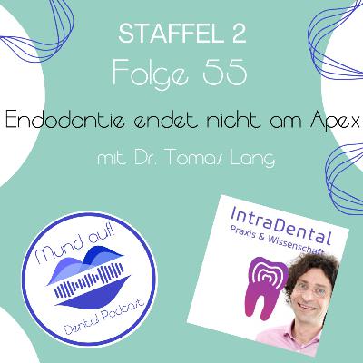Staffel 2 - Folge 55: Endodontie endet nicht am Apex! Feat. Tomas Lang
