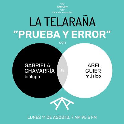 Prueba y error