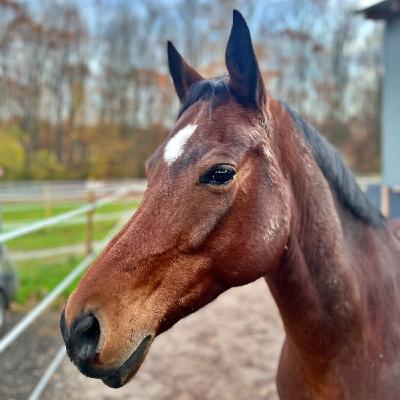 #433 Abschied von Klex #433 Abschied von Klex