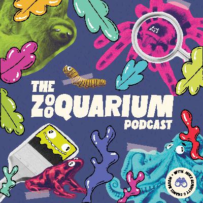 Introducing The Zooquarium Podcast