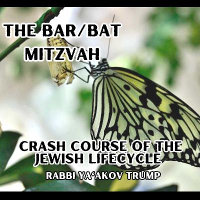 The Bar/Bat Mitzvah