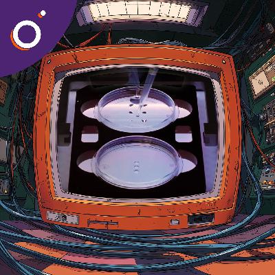 Électroscope #11 : un distille, un matériau immortel et une IA qui fait naître des bébés Électroscope #11 : un distille, un matériau immortel et une IA qui fait naître des bébés