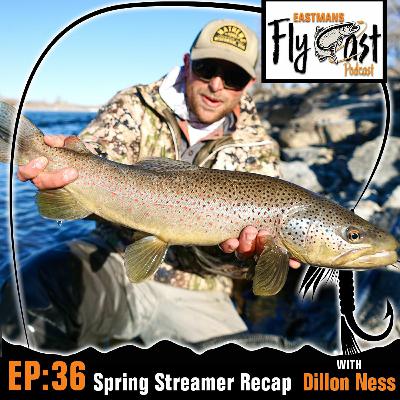 36- Spring Streamer Recap With Dillon Ness