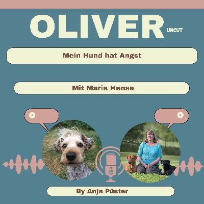 Mein Hund hat Angst. Mit Maria Hense