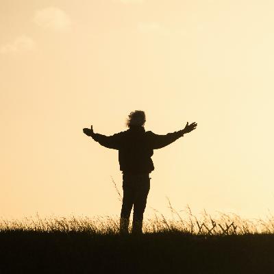 Gratitud