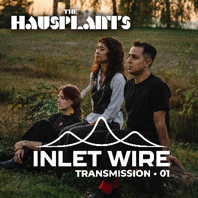 The Hausplants - Into Equilibrium