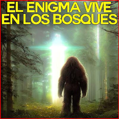 Misterios Entrelazados: Big Foot, OVNIs y Desapariciones