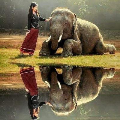 Conciencia, individuo, múltiples pasados