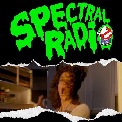 #240: Jason Darks GHOSTBUSTERS (Lesung Teil 2) #240: Jason Darks GHOSTBUSTERS (Lesung Teil 2)