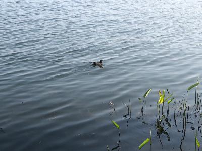 【相约成长】爱自己的两个新尝试