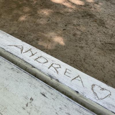 Sogni miei sogni tuoi