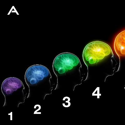 Every Level of Consciousness Every Level of Consciousness