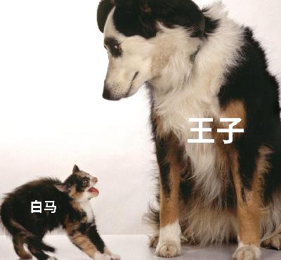 如果我是王子,那么我要努力的去寻找我的白马! 如果我是王子,那么我要努力的去寻找我的白马!