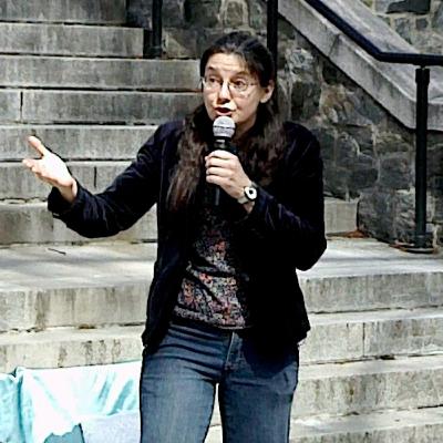 The Little Rooster and the Diamond Button