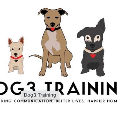 Dog3 Training - Why Train Your Dog