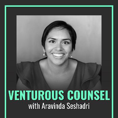 The Basics to Startup Legal With Venturous Counsel