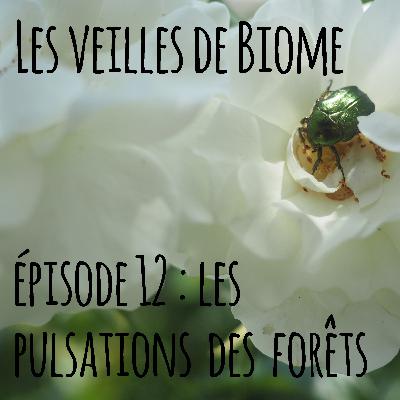 Les veilles de Biome - épisode 12 : les pulsations des forêts