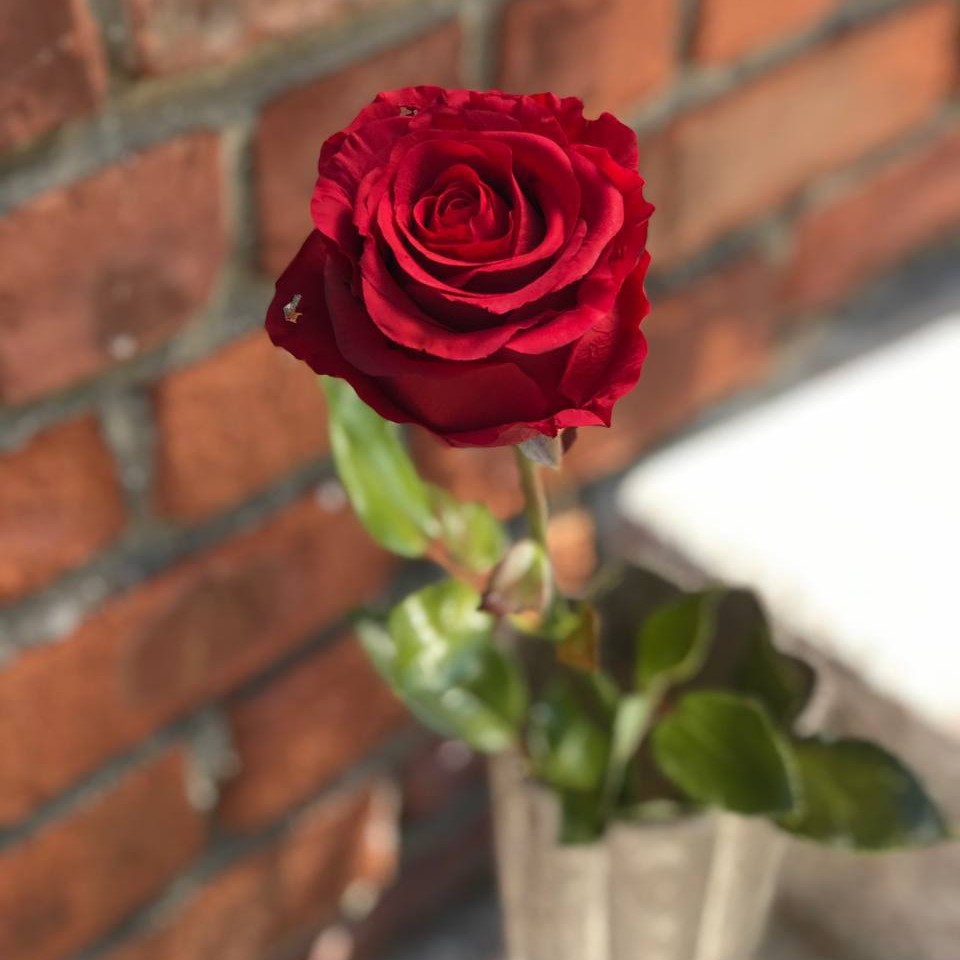 فصل سوم : مشکل از کجا پدید می آید؟