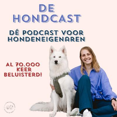 #81 Doe ik wel genoeg met mijn hond?