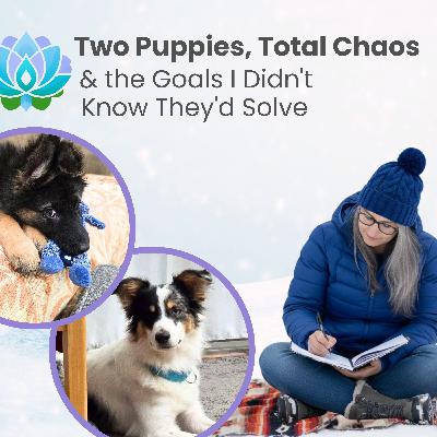 Two Puppies, Total Chaos, and the Goals I Didn't Know They'd Solve