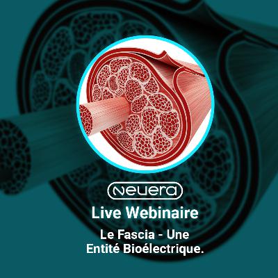 Le Fascia - Une entité bioélectrique, avec Nicolas Desjardins