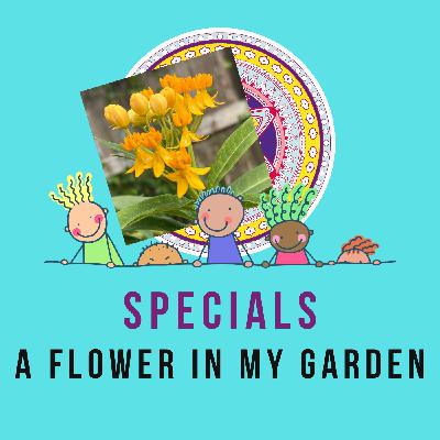 A flower in my garden - poem by Sachi