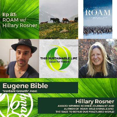 ROAM w/ Hillary Rosner