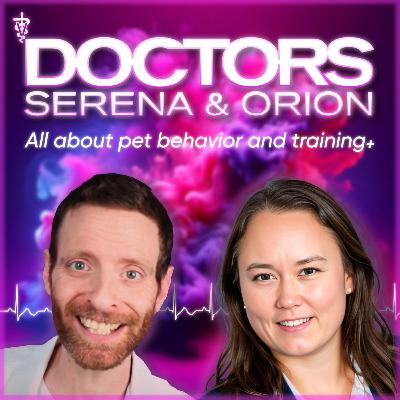 Episode 07 - Diagnosing and treating separation anxiety in dogs
