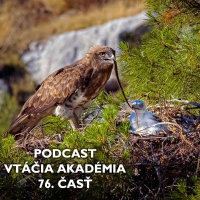 Predstavte si, že aj o vtáčej ríši vznikajú konšpiračné teórie Predstavte si, že aj o vtáčej ríši vznikajú konšpiračné teórie