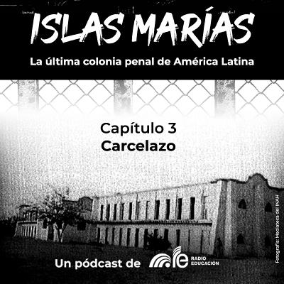 Capítulo 3. Carcelazo