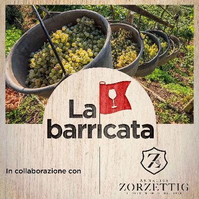 I malumori del Prosecco Docg (con Adami e Favrel), una cantina meravigliosa e un evento in Campania - La barricata, 17