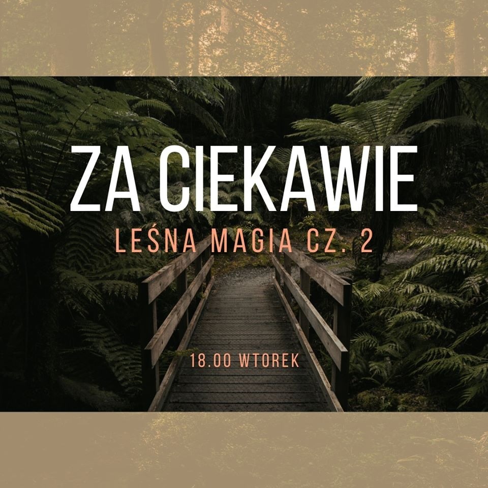 Za ciekawie – Leśna magia cz. 2 episode artwork