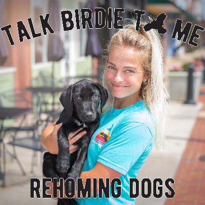 9 | Rehoming Dogs 9 | Rehoming Dogs