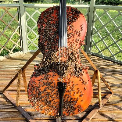 Bees with Good Vibes: A Tale of Two Hives Bees with Good Vibes: A Tale of Two Hives