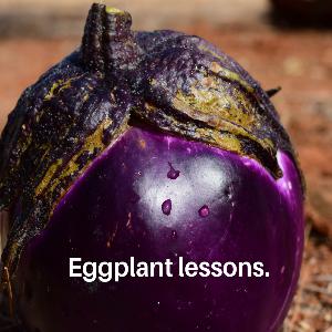 #143 Eggplant lessons.