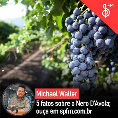 Michael Waller | 5 fatos sobre a Nero D'Avola